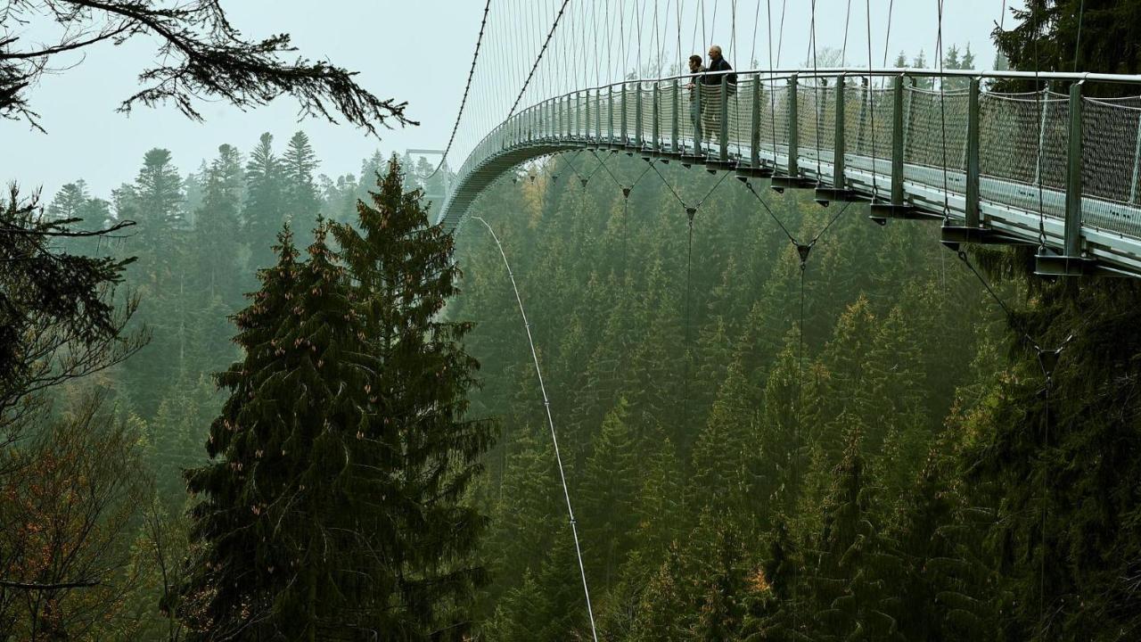 Ferienwohnung Nina Direkt In Zentrum Bad Wildbad Kültér fotó