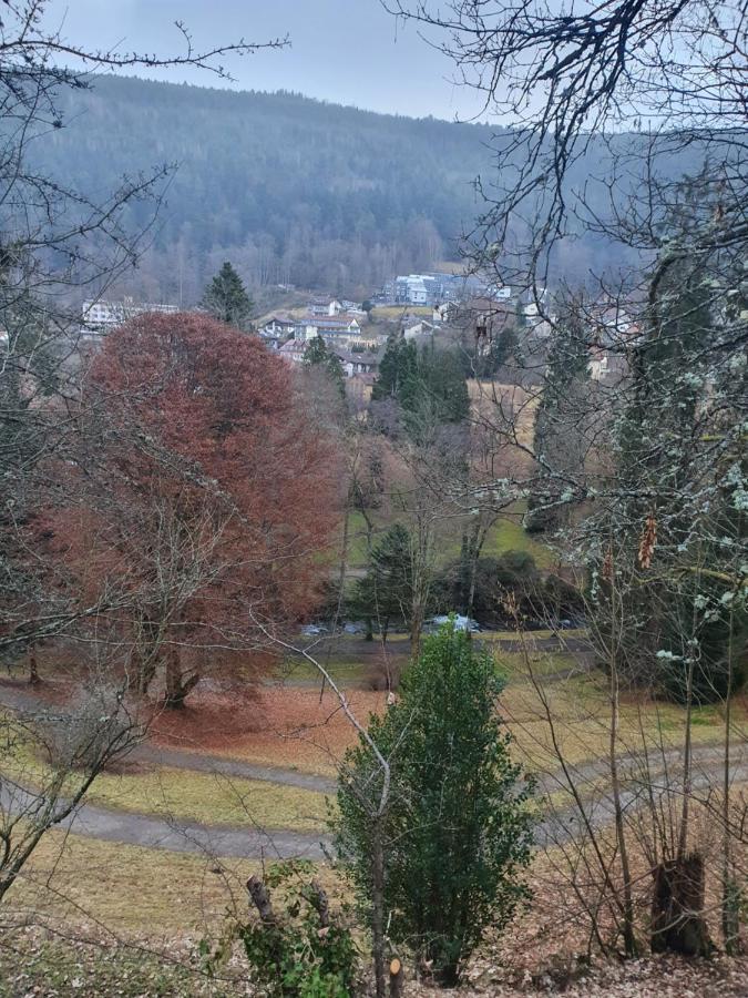Ferienwohnung Nina Direkt In Zentrum Bad Wildbad Kültér fotó